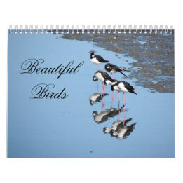 Calendário Beautiful Birds Calendar