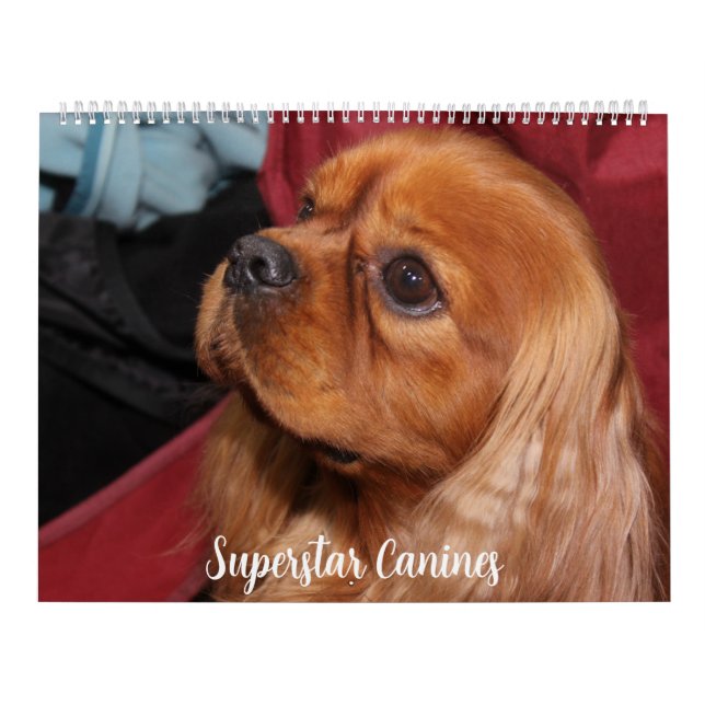 CALENDÁRIO BEAUTIFUL SUPERSTAR CANINE DOGS (Capa)