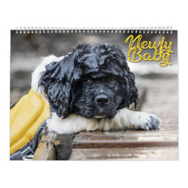 Calendário Bebê Newfy