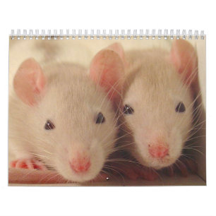 Calendário bebês
