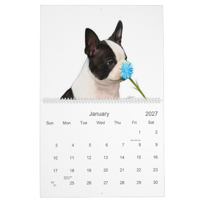 Calendário Bebês 2 de Boston (Jan 2027)