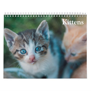 Calendário Bebês Gatos Fofos 2027