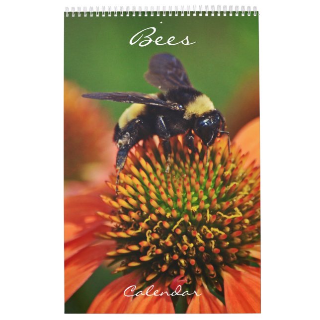 Calendário Bees Calendar Bee Love (Capa)
