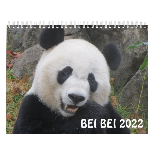 Calendário Bei Bei 2022 (Capa)