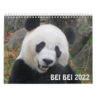 Calendário Bei Bei 2022