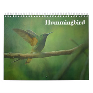 Calendário Beija-flor 2027