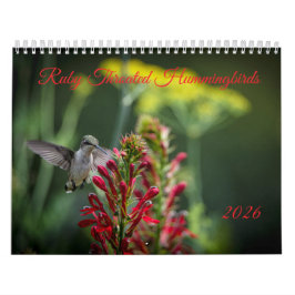 Calendário Beija-flores-de-garganta-rubis