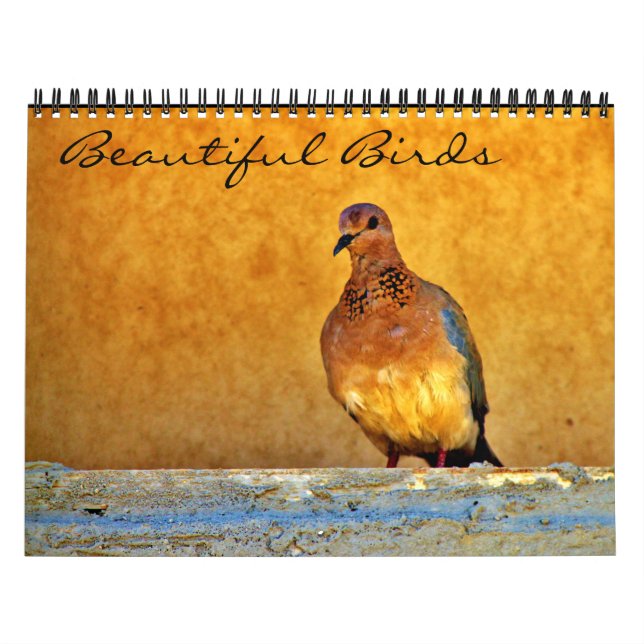 Calendário Belas Aves (Capa)
