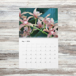 Calendário Belas Orquídeas Fotográficas