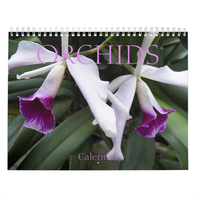 Calendário Belas Orquídeas Fotográficas (Capa)