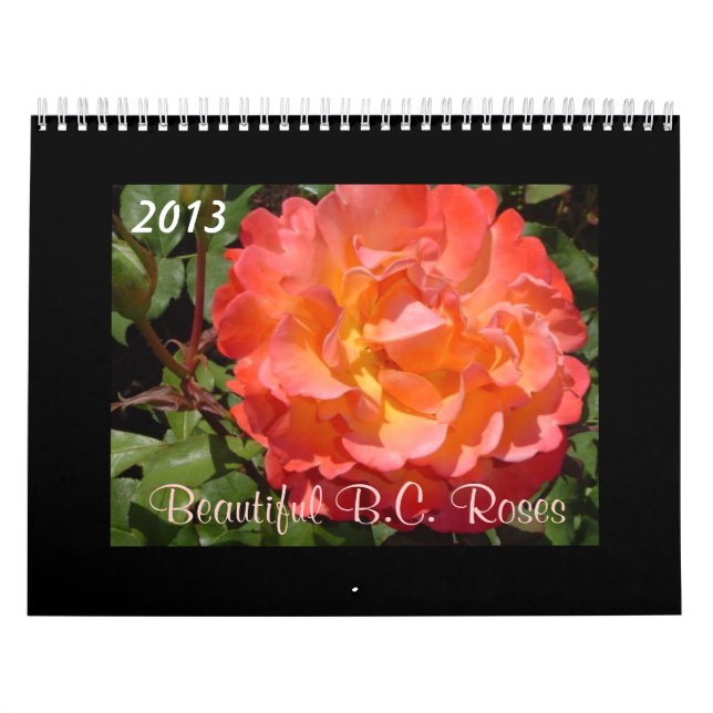 Calendário Belas Rosas da C.B. 2013 (Capa)