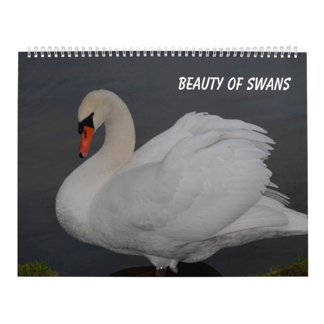 Calendário Beleza dos cisnes (Capa)