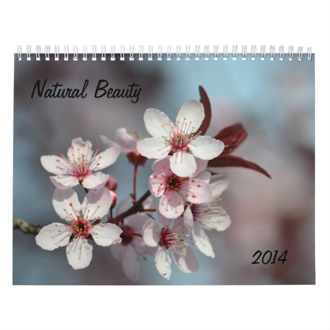 Calendário Beleza Natural (Capa)
