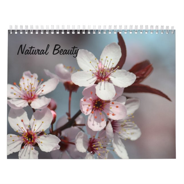 Calendário Beleza Natural (Capa)
