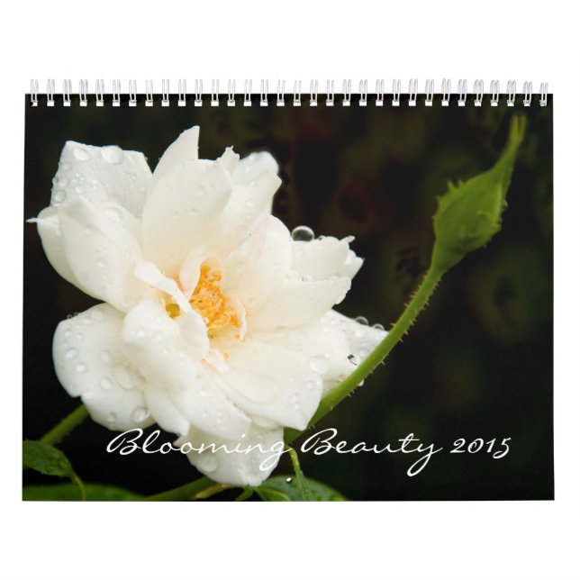 Calendário Beleza Sangrenta (Capa)