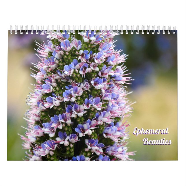 Calendário Belezas Florais da minha Coleção de Jardim (Capa)