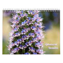Calendário Belezas Florais da minha Coleção de Jardim