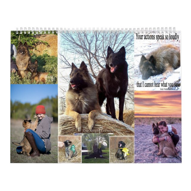 Calendário belga de Tervuren do pastor (Capa)