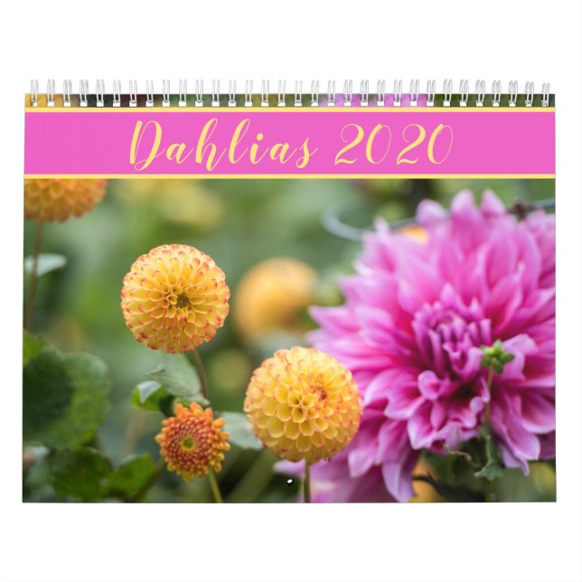 Calendário Belo Dahlias 2020 (Capa)