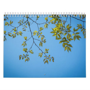 Calendário belo galho com abraço verde e amarelo