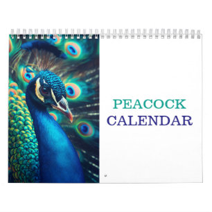 Calendário Belo Pavão 2025