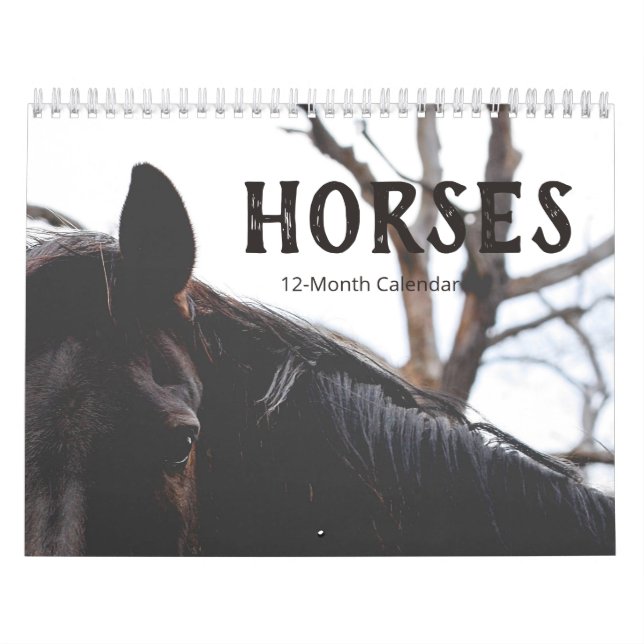 Calendário Belos Cavalos Média de 12 Meses (Capa)