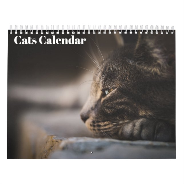 Calendário Bengal Cats 2025 (Capa)