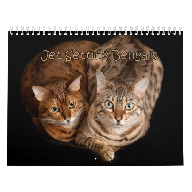 Calendário Bengala de configuração de jato (Capa)