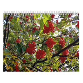 Calendário Berries