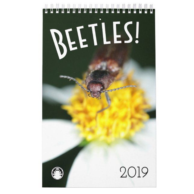 Calendário Besouros (Capa)