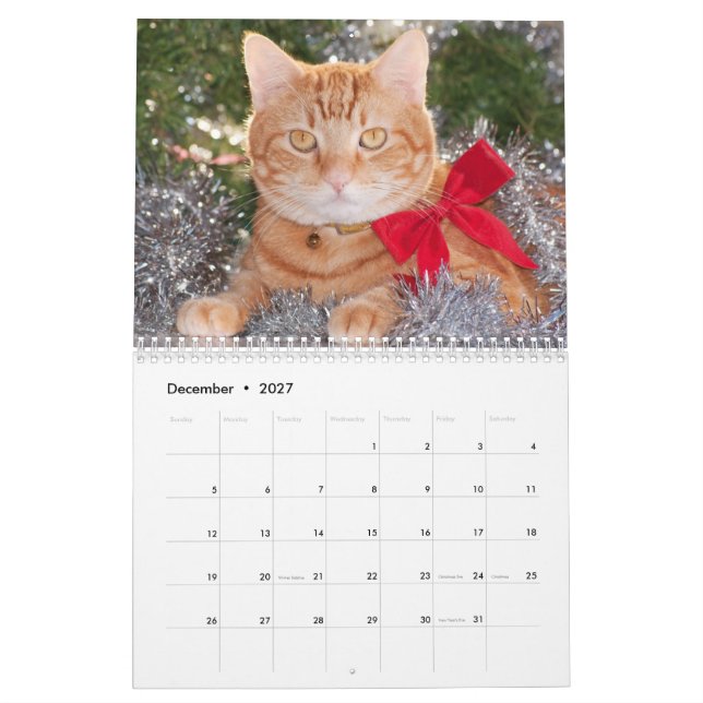 Calendário Best Cats (Dez 2027)