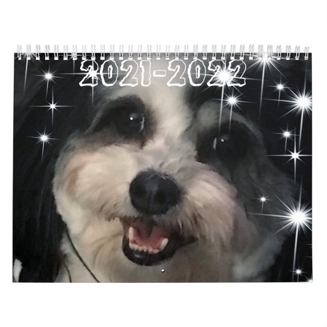 Calendário Best of K-Cee Cute Zuchon Dog 2021-2022 (Capa)