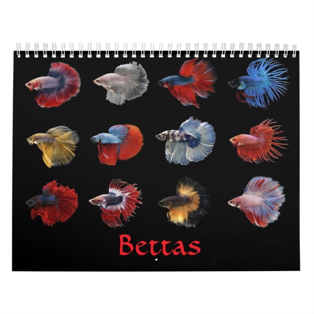 Calendário Betta Fish Calendar (Capa)