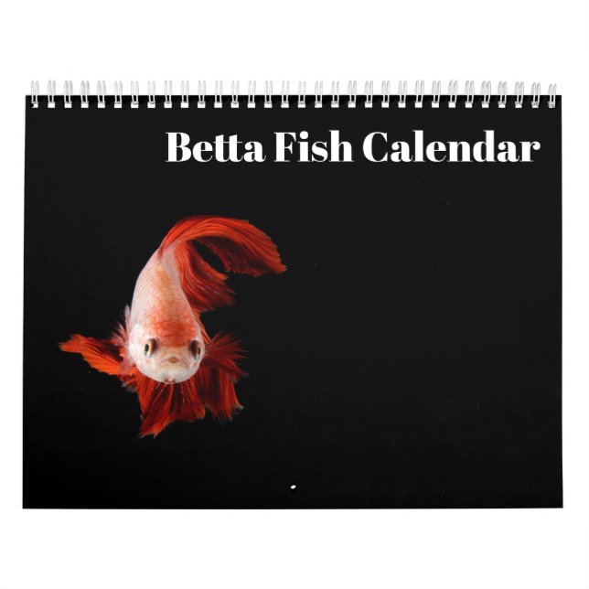 Calendário Bettafish 2025 (Capa)