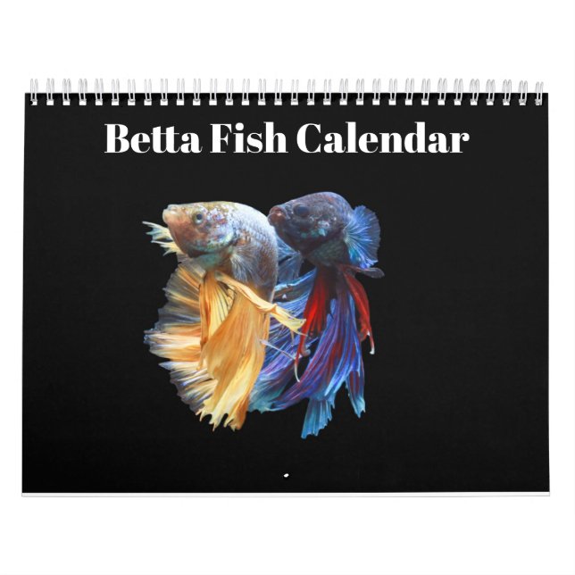 Calendário Bettafish 2027 (Capa)