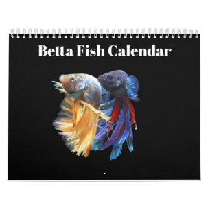 Calendário Bettafish 2027