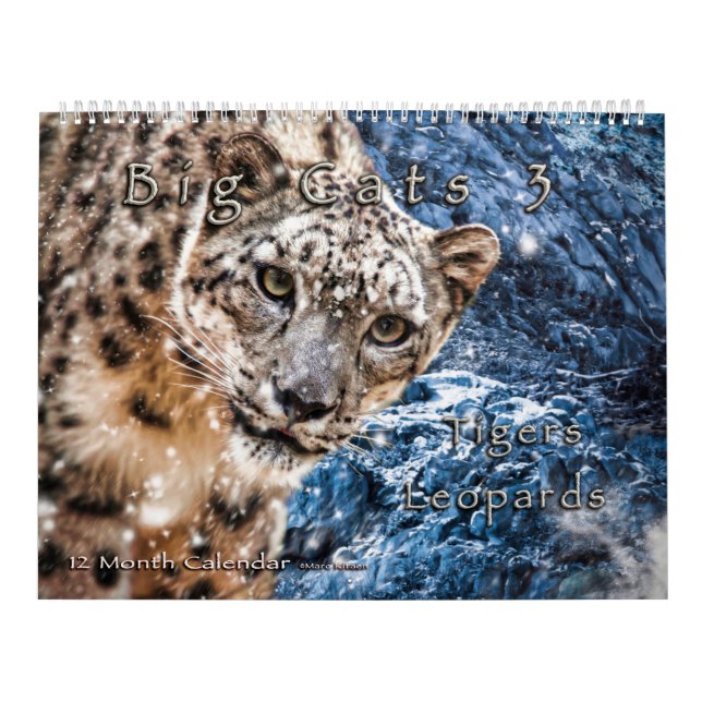Calendário Big Cats Art #3 Calendar (Capa)