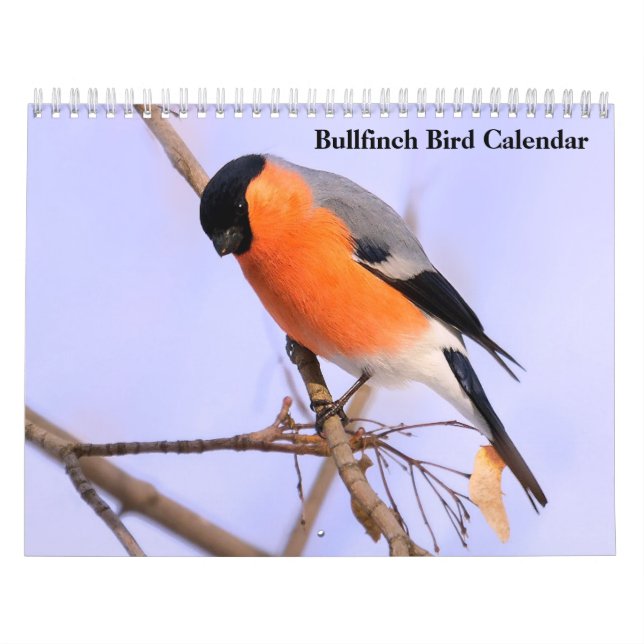 Calendário Bird Bullfinch (Capa)