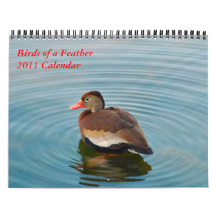 Calendário Birds of a Feather