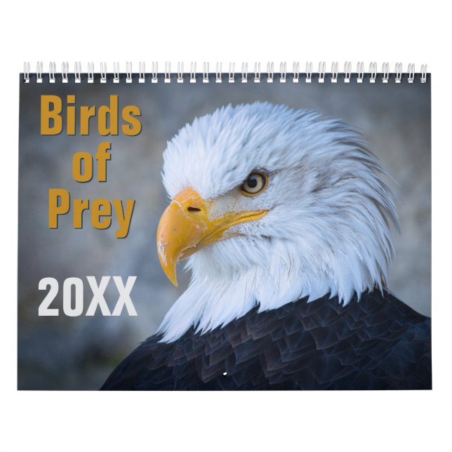 Calendário Birds of Prey Calendar (Capa)