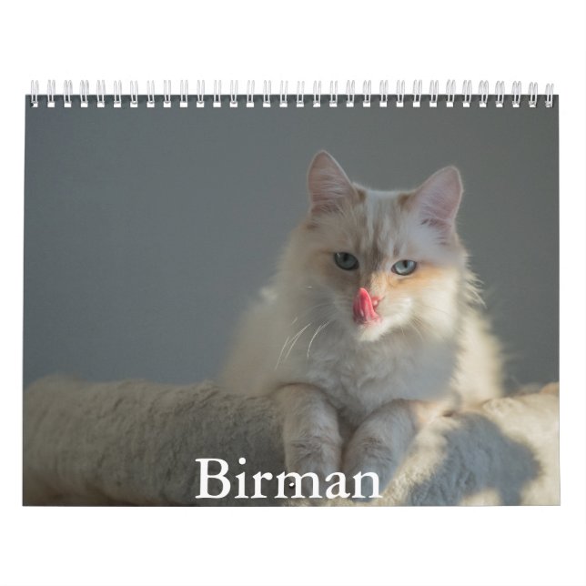 Calendário Birman (Capa)