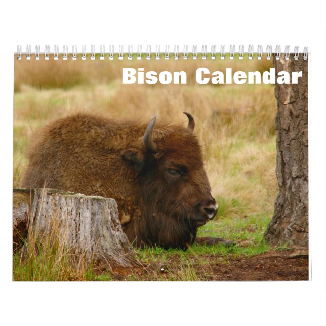 Calendário Bison Buffalo 2025 (Capa)