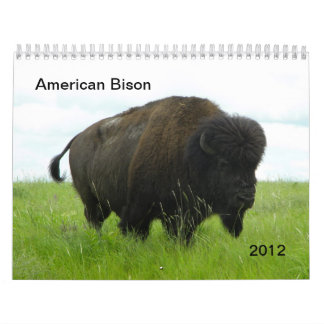 Calendário Bisonte americano