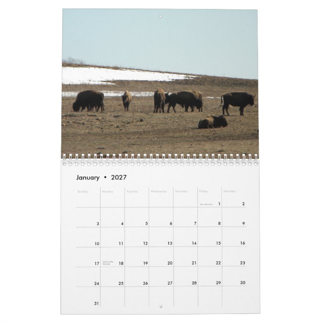 Calendário Bisonte americano (Jan 2027)