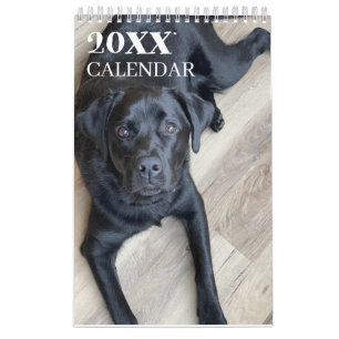 Calendário Black Lab Labrador Retriever 2026