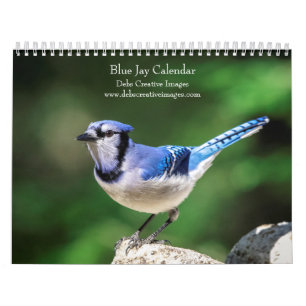 Calendário Blue Jay 2025