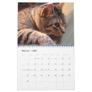 Calendário Blue the Cat - Calendar 2021