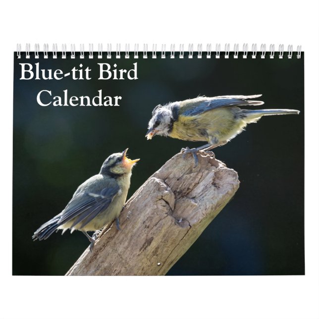 Calendário Blue-Tit Bird 2026 (Capa)