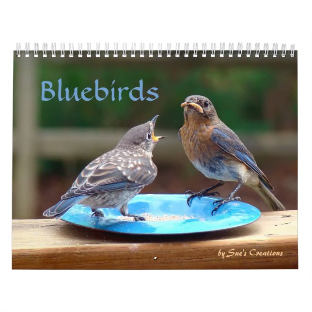 Calendário Bluebird (Capa)