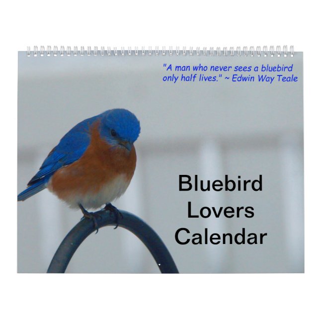 Calendário Bluebird (Capa)